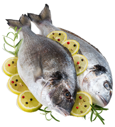 Fresh Fish