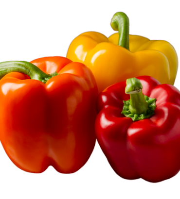 Bell-Pepper