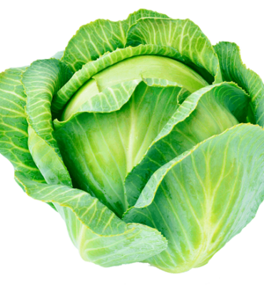 Cabbage